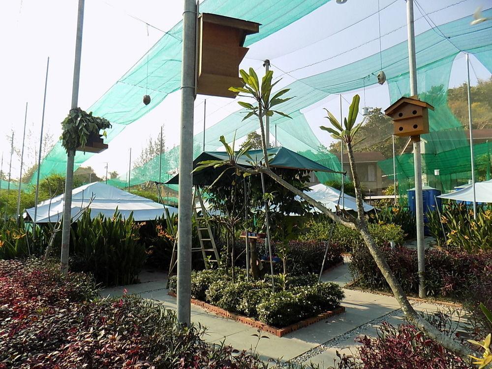 T Star Cottage Langkawi Pantai Cenang (Langkawi) Exterior foto