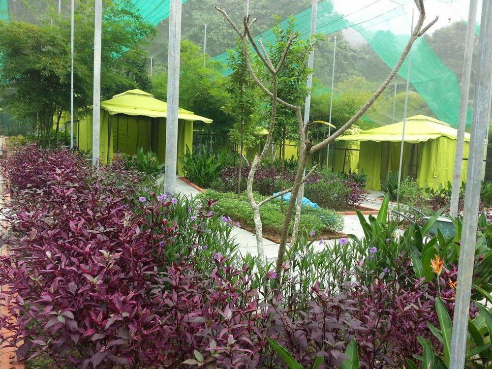 T Star Cottage Langkawi Pantai Cenang (Langkawi) Exterior foto