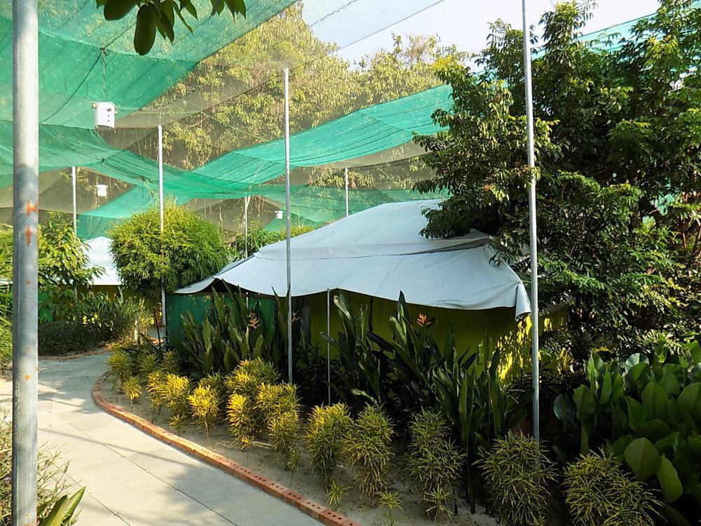 T Star Cottage Langkawi Pantai Cenang (Langkawi) Exterior foto