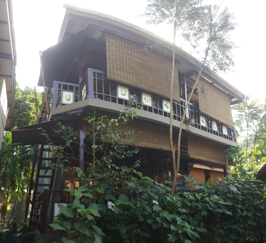 T Star Cottage Langkawi Pantai Cenang (Langkawi) Exterior foto